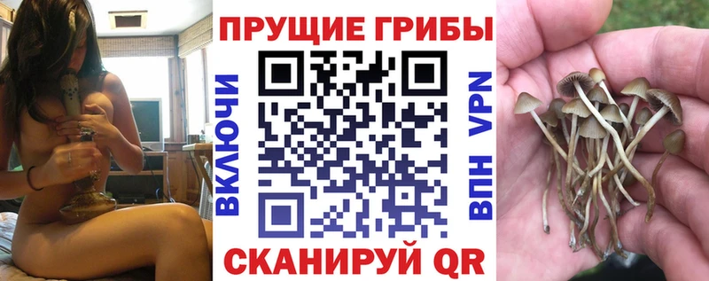 Псилоцибиновые грибы GOLDEN TEACHER  Купить где  Калининец 